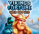 VIKING FORTUNE HOLD AND WIN