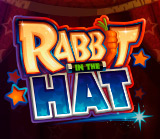 RABBIT IN THE HAT