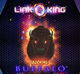 LINK KING BURNING BUFFALO