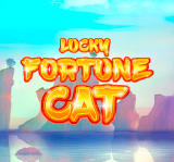 LUCKY FORTUNE CAT